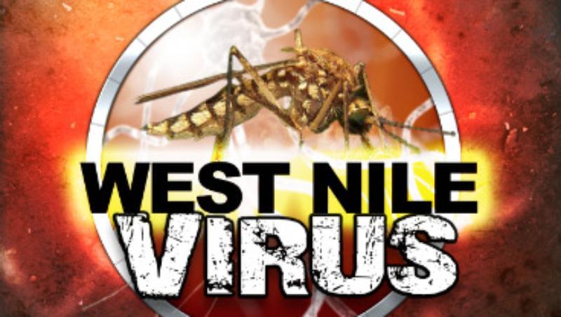 West nile mgn  1 